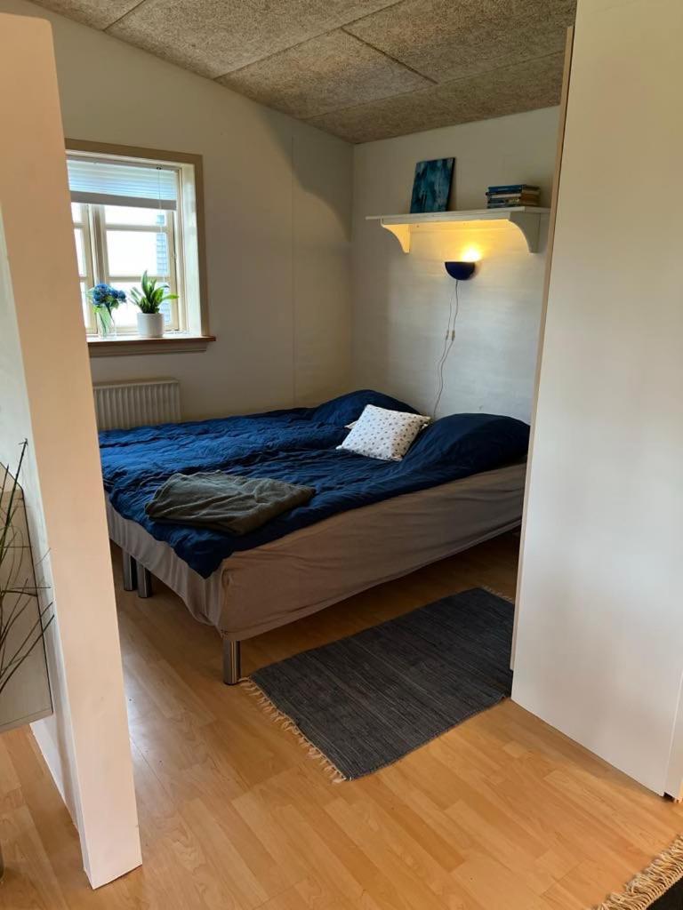 Skon Lejlighed Til 4 Personer Ansager 외부 사진